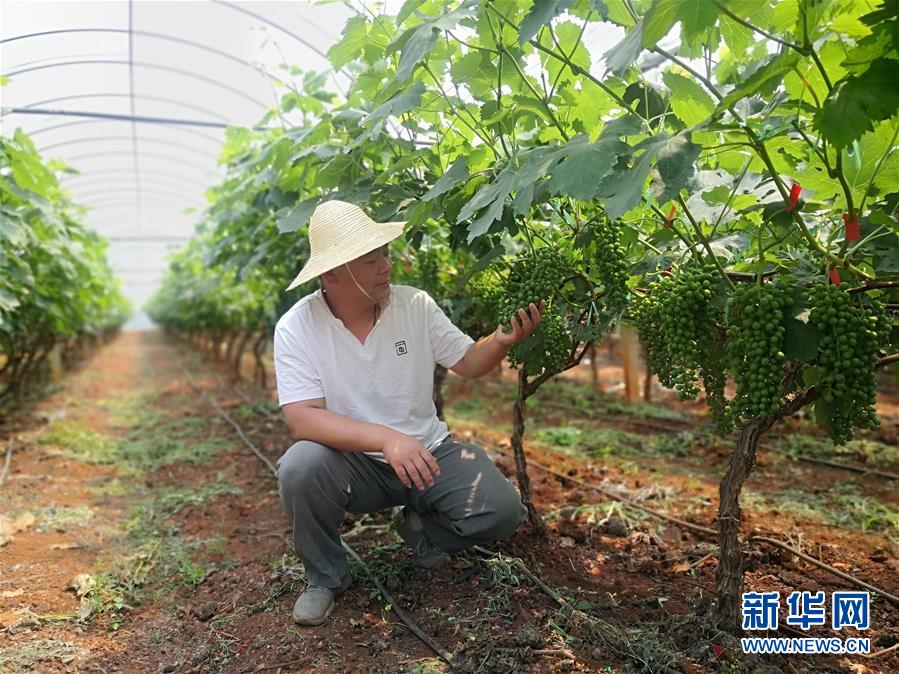 （新華全媒頭條&middot;圖文互動(dòng)）（11）春色最濃在田間&mdash;&mdash;來(lái)自全國(guó)春耕備耕的現(xiàn)場(chǎng)觀察