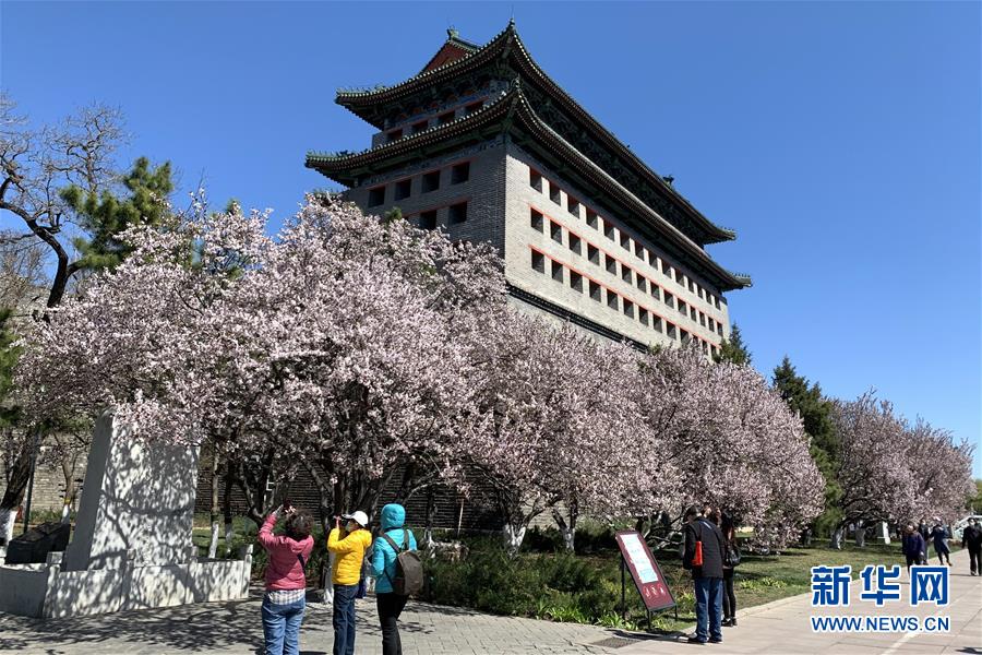 （新華全媒頭條&middot;圖文互動）（5）永遠的夢想 永恒的追求&mdash;&mdash;寫在北京世園會開幕一周年之際