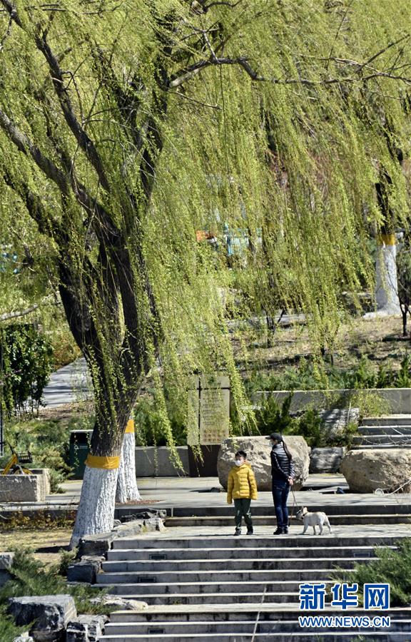 （新華全媒頭條&middot;圖文互動）（6）永遠的夢想 永恒的追求&mdash;&mdash;寫在北京世園會開幕一周年之際