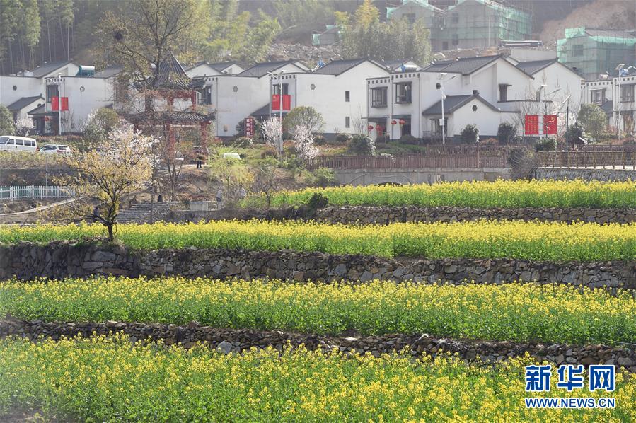 （新華全媒頭條&middot;圖文互動）（1）紅土地上的&ldquo;綠色減貧&rdquo;決戰(zhàn)&mdash;&mdash;大別山&ldquo;將軍縣&rdquo;金寨脫貧紀(jì)實(shí)