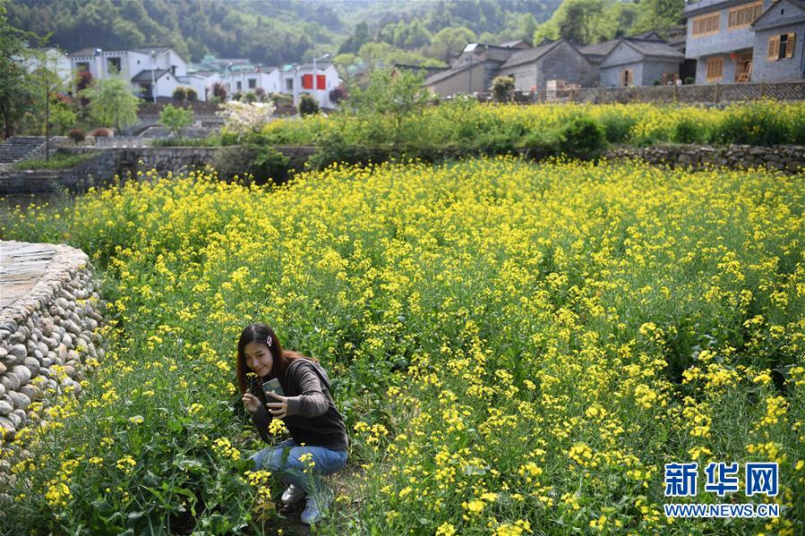 （新華全媒頭條&middot;圖文互動）（10）紅土地上的&ldquo;綠色減貧&rdquo;決戰(zhàn)&mdash;&mdash;大別山&ldquo;將軍縣&rdquo;金寨脫貧紀(jì)實(shí)