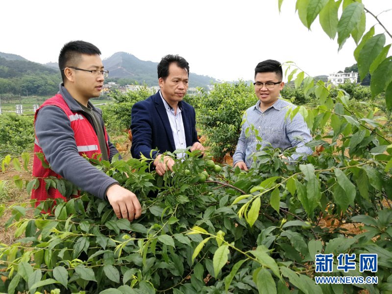 （新華全媒頭條&middot;圖文互動(dòng)）（6）八桂大地上的青春之歌&mdash;&mdash;記奮戰(zhàn)在廣西脫貧攻堅(jiān)一線的&ldquo;黃文秀式&rdquo;干部