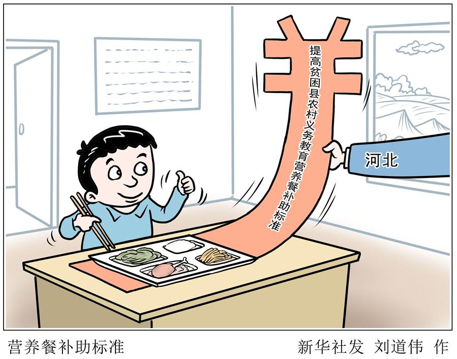 （圖表&middot;漫畫）［教育］營養(yǎng)餐補助標準