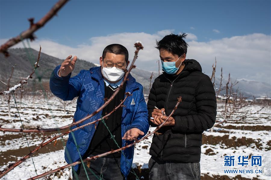 （決戰(zhàn)決勝脫貧攻堅&middot;聚焦三區(qū)三州&middot;圖文互動）（4）拓展新天地&mdash;&mdash;云南迪慶藏區(qū)&ldquo;新產(chǎn)業(yè)&rdquo;掠影