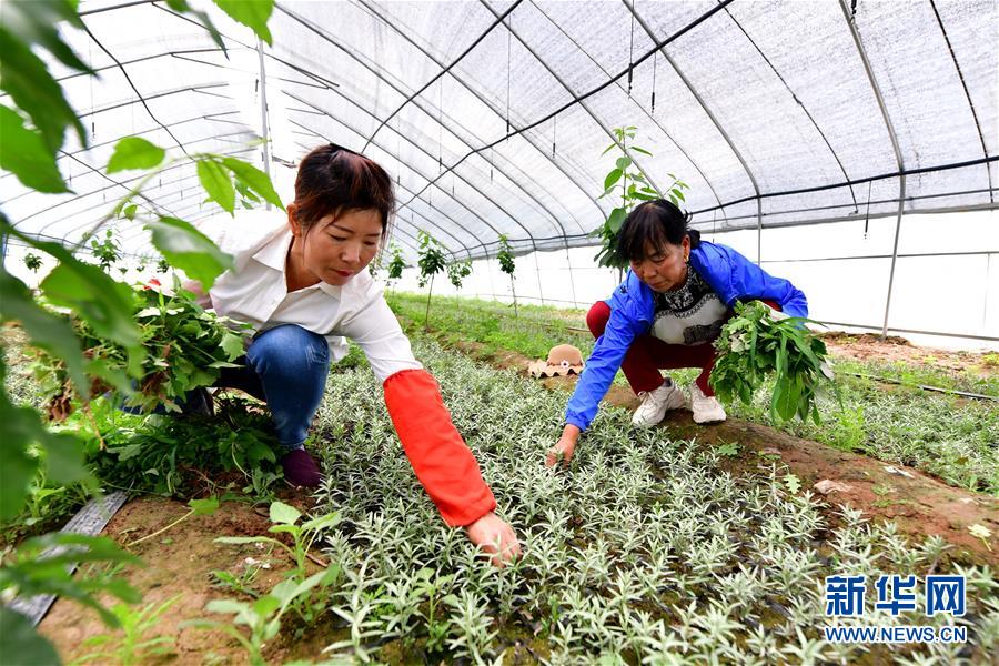 （新華全媒頭條&middot;圖文互動）（5）呂梁新傳奇