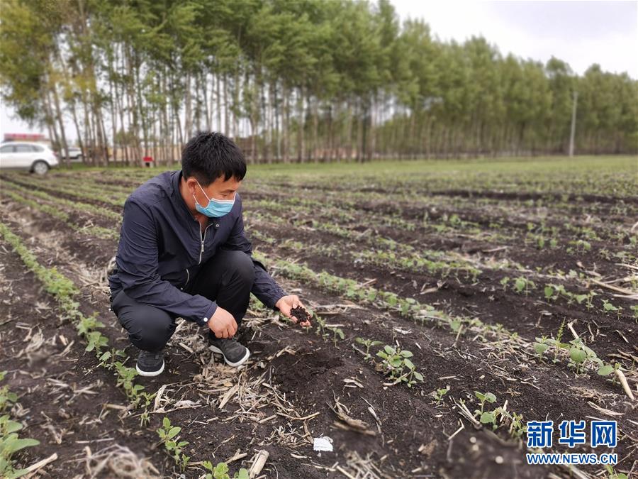 （在習(xí)近平新時代中國特色社會主義思想指引下&mdash;&mdash;新時代新作為新篇章&middot;習(xí)近平總書記關(guān)切事&middot;圖文互動）（6）讓每一寸耕地都成為豐收的沃土&mdash;&mdash;我國加強耕地保護推進&ldquo;藏糧于地&rdquo;