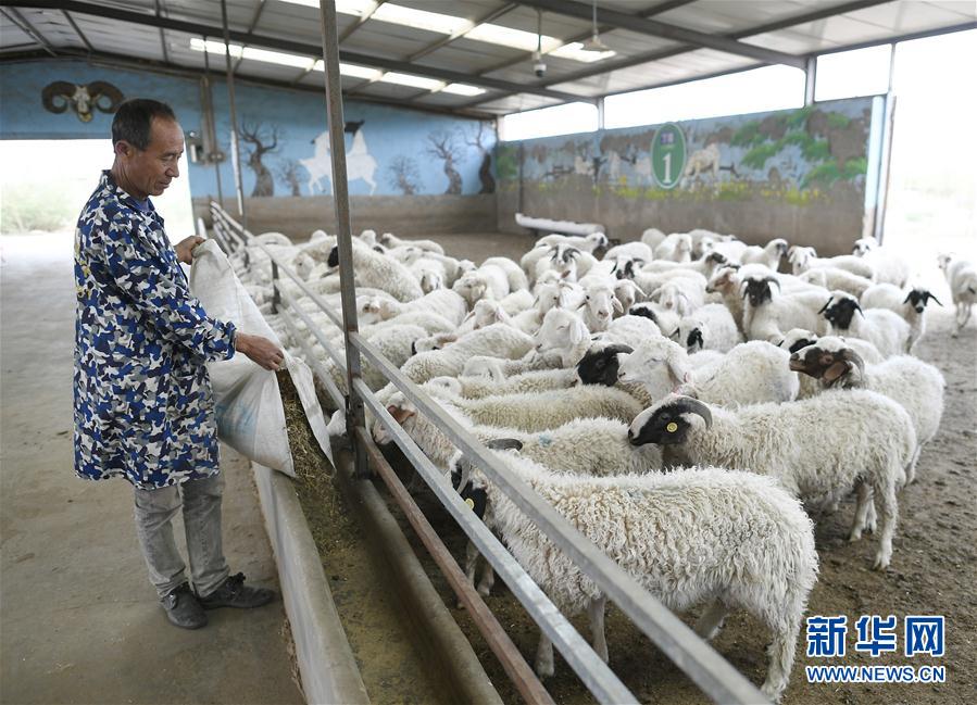 （走向我們的小康生活&middot;圖文互動(dòng)）（5）西海固換了新模樣