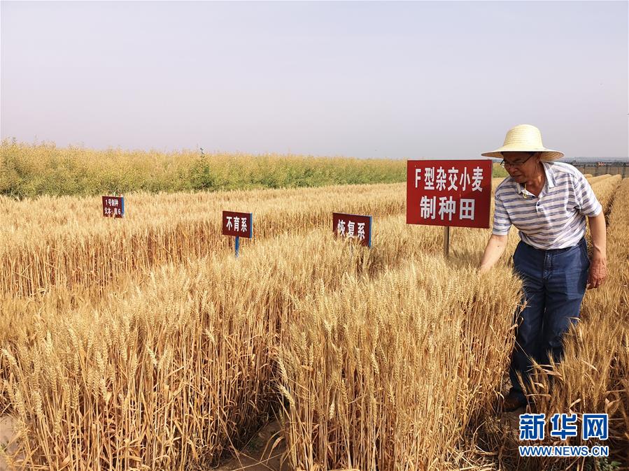 （在習(xí)近平新時(shí)代中國特色社會主義思想指引下&mdash;&mdash;新時(shí)代新作為新篇章&middot;習(xí)近平總書記關(guān)切事&middot;圖文互動(dòng)）（3）讓百姓吃得飽還要吃得好&mdash;&mdash;夯實(shí)糧食安全基礎(chǔ)端牢中國飯碗