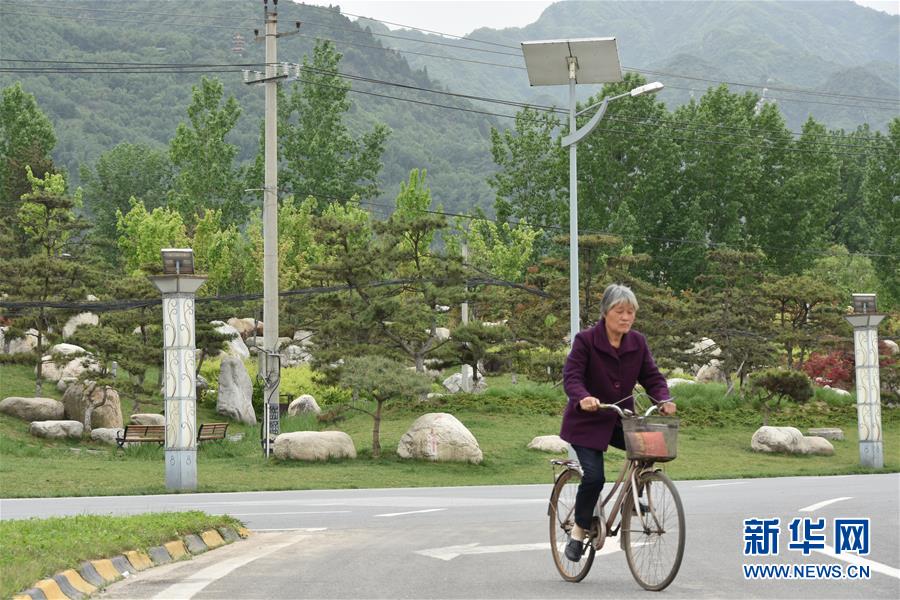 （新華視點&middot;圖文互動）（5）警惕重金&ldquo;移石造景&rdquo;之風(fēng)：有的景觀石一塊逾百萬元