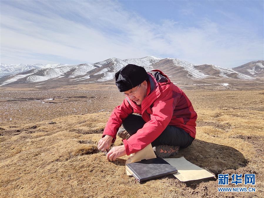 （新時代擔當作為典型&middot;圖文互動）（2）草地生態(tài)專家趙新全：情深不舍三江源