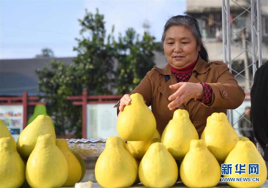 （新華全媒頭條&middot;走向我們的小康生活&middot;圖文互動）（11）大城大鄉(xiāng)的&ldquo;幸福協(xié)奏曲&rdquo;&mdash;&mdash;重慶推動高質(zhì)量發(fā)展創(chuàng)造高品質(zhì)生活紀事