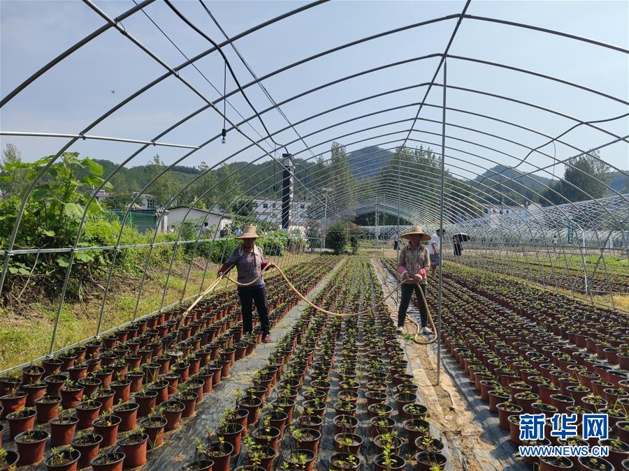 （決戰(zhàn)決勝脫貧攻堅&middot;圖文互動）（3）安居樂業(yè)并重，搬遷脫貧同步&mdash;&mdash;湖北88萬搬遷群眾脫貧觀察 