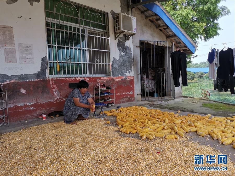 （新華視點(diǎn)&middot;聚焦餐桌外的浪費(fèi)&middot;圖文互動(dòng)）（3）農(nóng)戶儲(chǔ)糧損失達(dá)8%！設(shè)施普遍簡陋，蟲害霉變堪憂