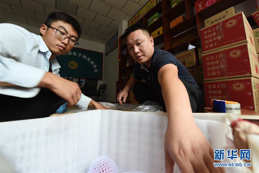  （走向我們的小康生活&middot;圖文互動(dòng)）（3）在那碧綠的階梯上&mdash;&mdash;&ldquo;梯田之鄉(xiāng)&rdquo;甘肅莊浪縣的&ldquo;三級(jí)跳&rdquo;
