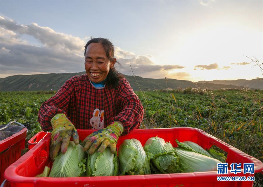 （新華全媒頭條&middot;決戰(zhàn)決勝脫貧攻堅&middot;督戰(zhàn)未摘帽貧困縣&middot;圖文互動）（1）不獲全勝，決不收兵&mdash;&mdash;全國52個掛牌督戰(zhàn)貧困縣脫貧攻堅紀(jì)實