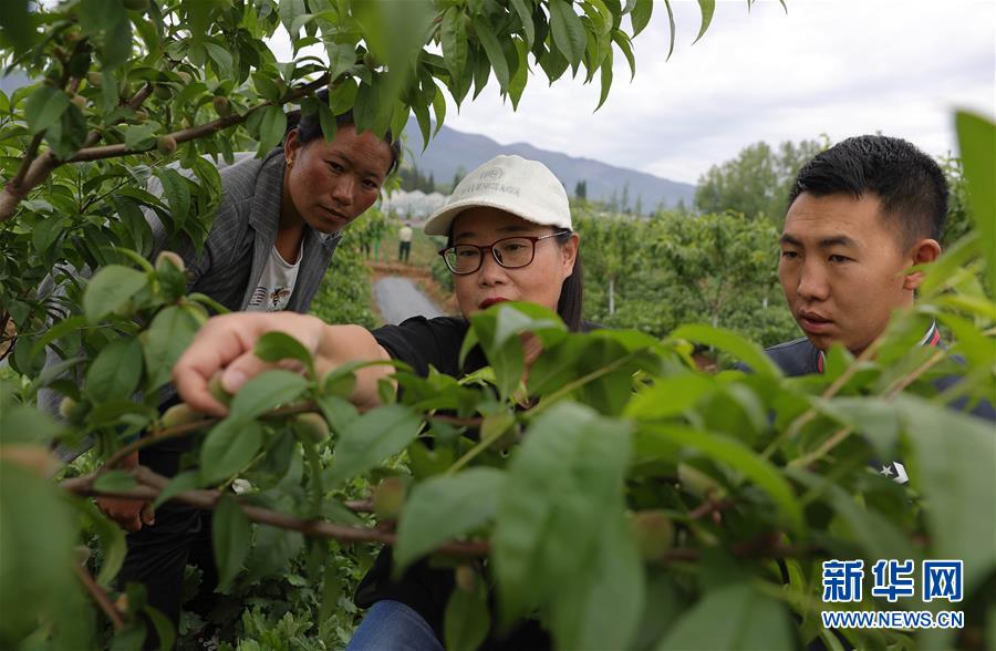 （決戰(zhàn)決勝脫貧攻堅(jiān)&middot;督戰(zhàn)未摘帽貧困縣&middot;圖文互動(dòng)）（3）12000多個(gè)&ldquo;火種&rdquo;點(diǎn)亮大涼山