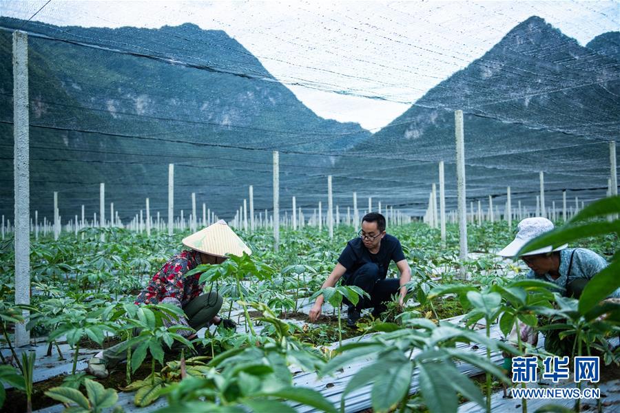 （新華全媒頭條&middot;決戰(zhàn)決勝脫貧攻堅(jiān)&middot;督戰(zhàn)未摘帽貧困縣&middot;圖文互動(dòng)）（10）把&ldquo;最能打的人&rdquo;放在最需要的地方&mdash;&mdash;聚焦貴州未脫貧縣里的&ldquo;助攻干部&rdquo;