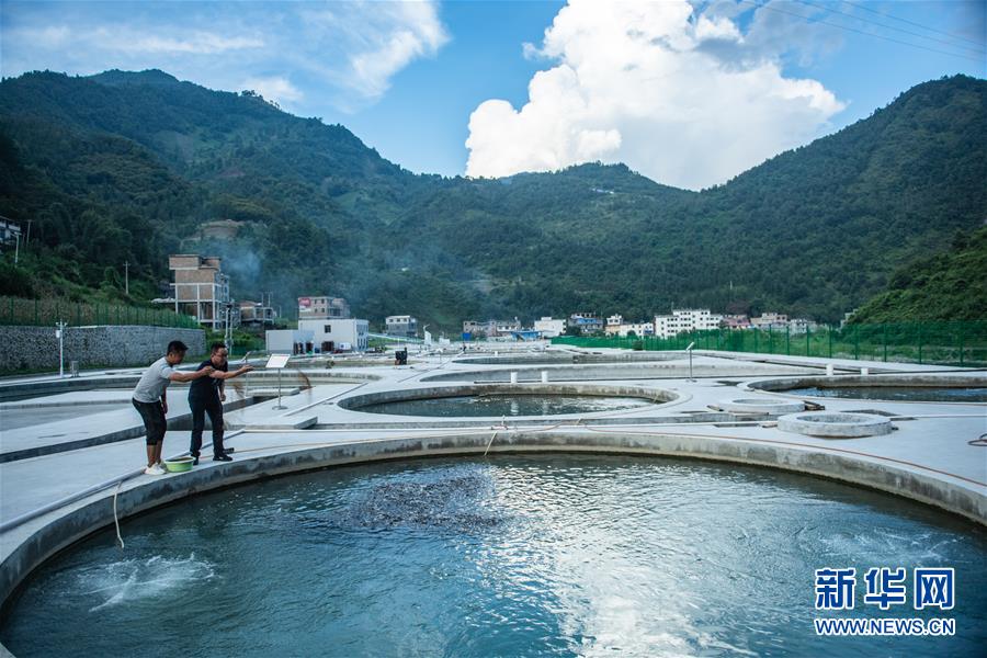 （新華全媒頭條&middot;決戰(zhàn)決勝脫貧攻堅(jiān)&middot;督戰(zhàn)未摘帽貧困縣&middot;圖文互動(dòng)）（11）把&ldquo;最能打的人&rdquo;放在最需要的地方&mdash;&mdash;聚焦貴州未脫貧縣里的&ldquo;助攻干部&rdquo;