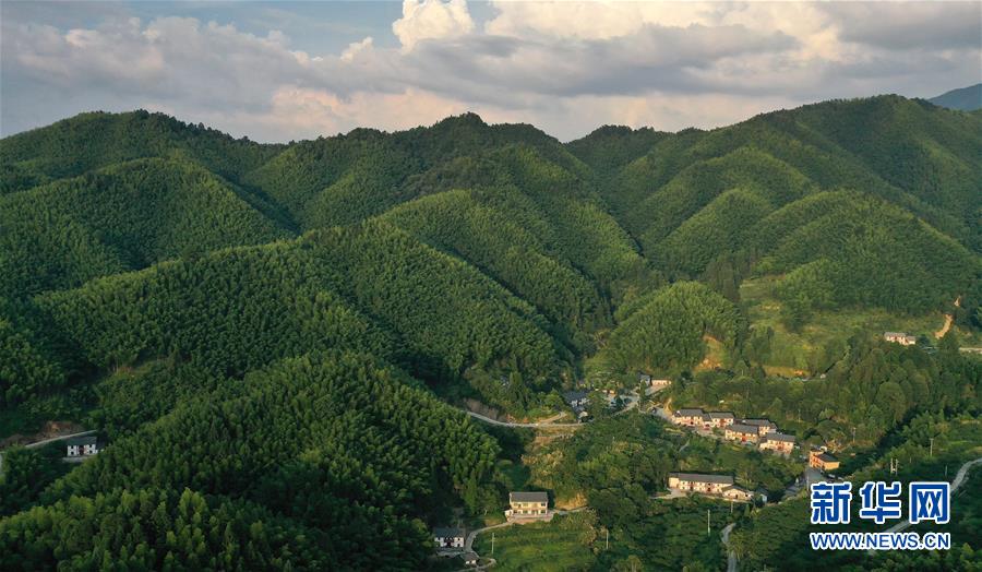（新華全媒頭條&middot;走向我們的小康生活&middot;圖文互動(dòng)）（2）神山村&ldquo;神奇&rdquo;何在？&mdash;&mdash;井岡山深處覓答案