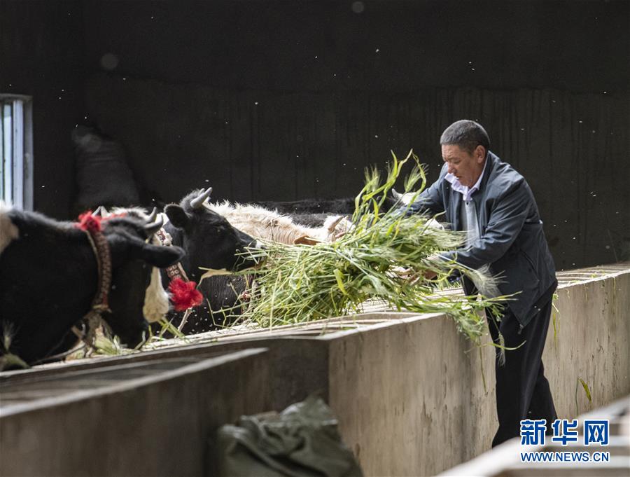 （走向我們的小康生活&middot;圖文互動）（3）&ldquo;無煙村&rdquo;的新追求&mdash;&mdash;西藏新時代文明鄉(xiāng)村成長記