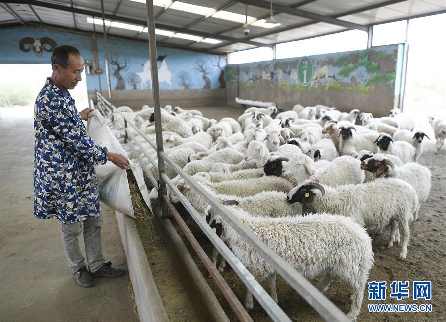（新華全媒頭條&middot;圖文互動）（2）決戰(zhàn)決勝奪取脫貧攻堅(jiān)戰(zhàn)全面勝利&mdash;&mdash;寫在第7個國家扶貧日之際