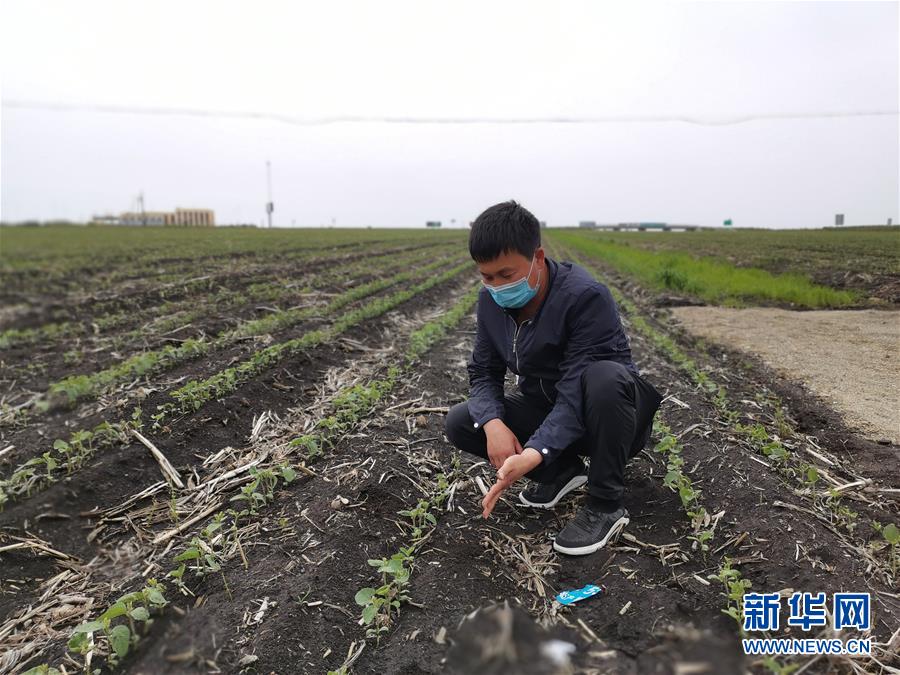 （在習(xí)近平新時(shí)代中國特色社會主義思想指引下&mdash;&mdash;新時(shí)代新作為新篇章&middot;習(xí)近平總書記關(guān)切事&middot;圖文互動）（4）讓百姓吃得飽還要吃得好&mdash;&mdash;夯實(shí)糧食安全基礎(chǔ)端牢中國飯碗