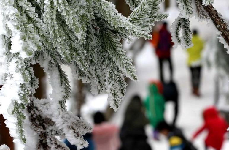 張家界武陵源現(xiàn)冰雪峰林 游人享&ldquo;南國(guó)雪色&rdquo;