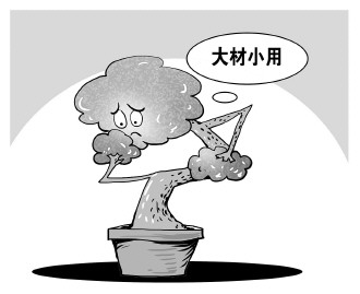 自認&ldquo;大材小用&rdquo;，不如腳踏實地