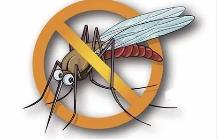 夏季，常見蚊蟲如何應(yīng)對(duì)