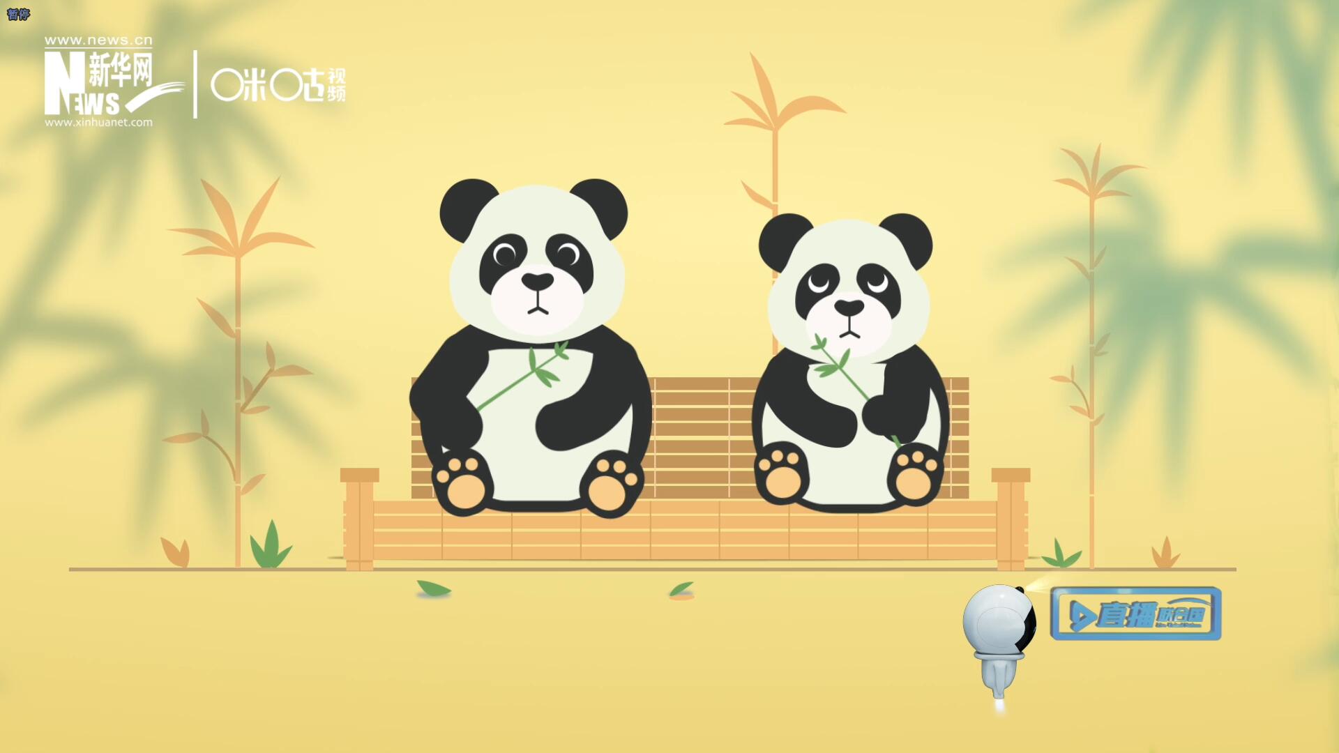 &ldquo;哥哥你看，又有人來看我們了。&rdquo;&ldquo;有什么奇怪的，我們可是聯(lián)合國&lsquo;最萌&rsquo;的大使??！&rdquo;。
