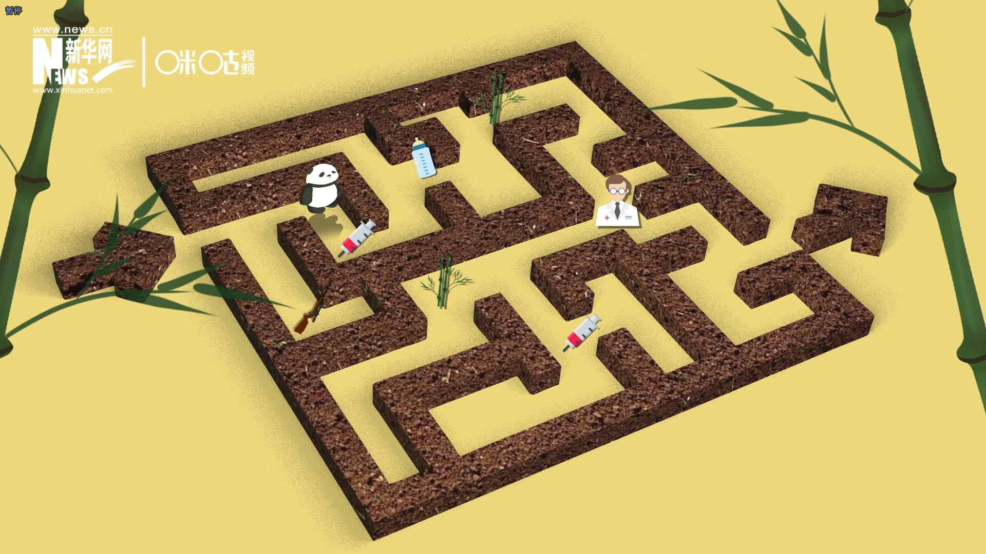2016年，國際自然保護(hù)聯(lián)盟將大熊貓的物種瀕危等級(jí)，從&ldquo;瀕危&rdquo;下降到了&ldquo;易危&rdquo;。