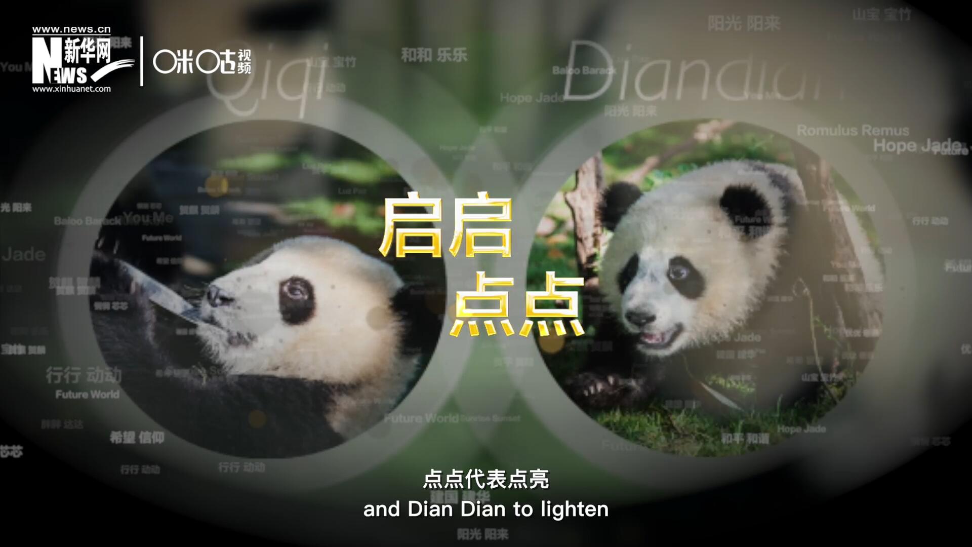 啟啟代表&ldquo;啟發(fā)&rdquo;，點(diǎn)點(diǎn)代表&ldquo;點(diǎn)亮&rdquo;，象征著2030年可持續(xù)發(fā)展議程 的&ldquo;起點(diǎn)&rdquo;，也象征著全球可持續(xù)發(fā)展路徑的新起點(diǎn)。