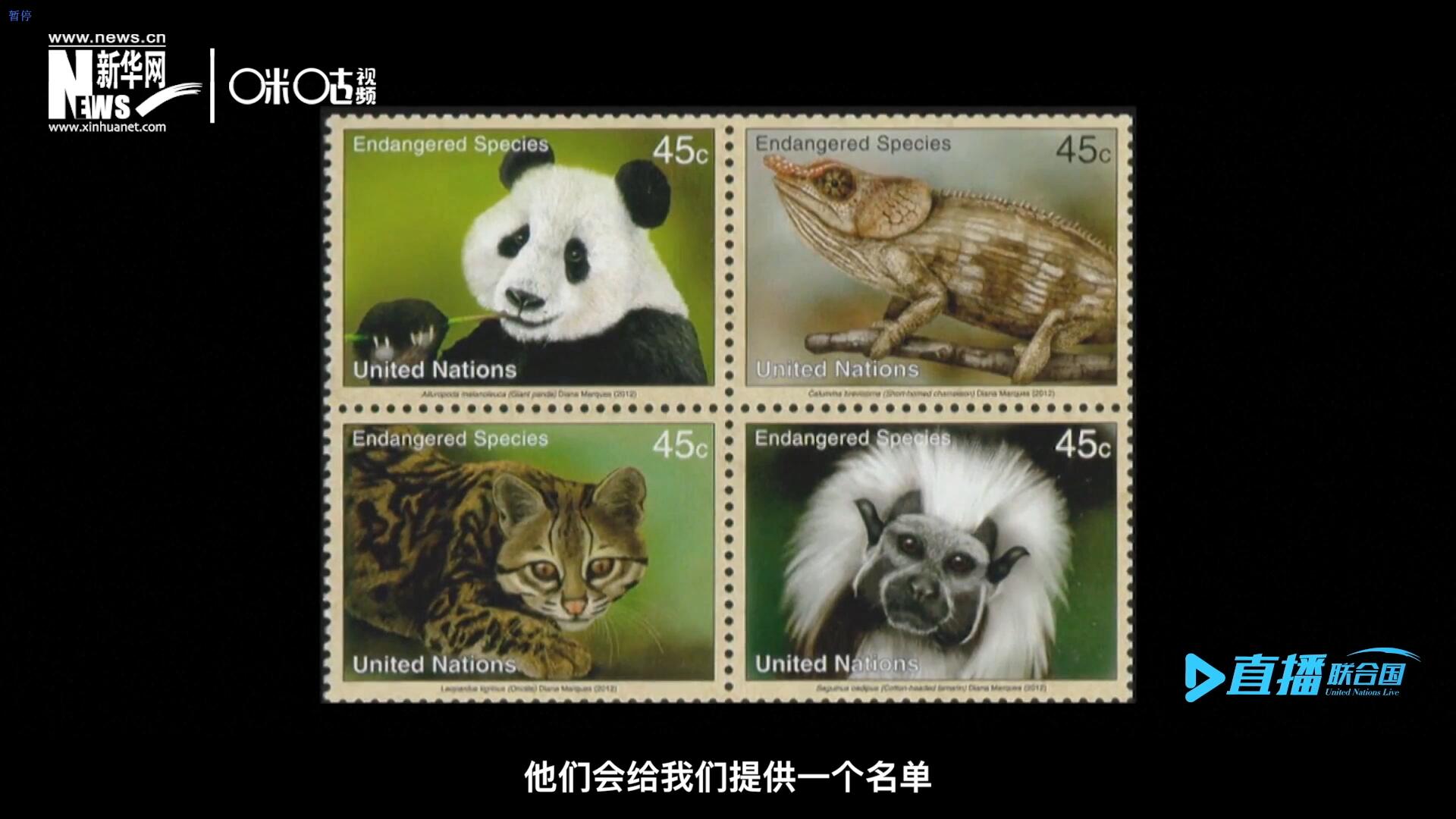 CITES（瀕危野生動植物種國際貿(mào)易公約）會給聯(lián)合國郵政設(shè)計師提供一個名單，雙方共同合作在附錄中找到名單中應(yīng)該受到關(guān)注的動物。