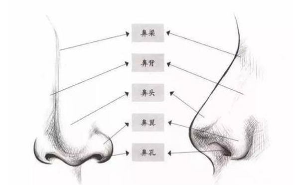 箭鼻矯正須知【成因、適宜人群、禁忌癥、手術(shù)原理、術(shù)前準(zhǔn)備、手術(shù)時間、恢復(fù)期】