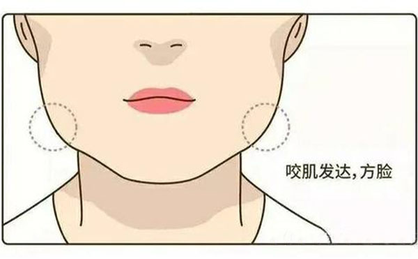 為什么咬肌會肥大？