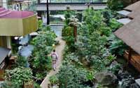 震撼！日本最豪華的廁所（組圖）