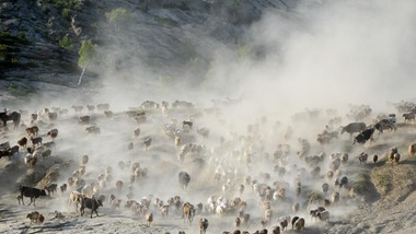 生態(tài)中國(guó)&middot;壯美山河瞰新疆