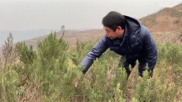 新春走基層｜脫貧后，駐村扶貧隊長在干啥？