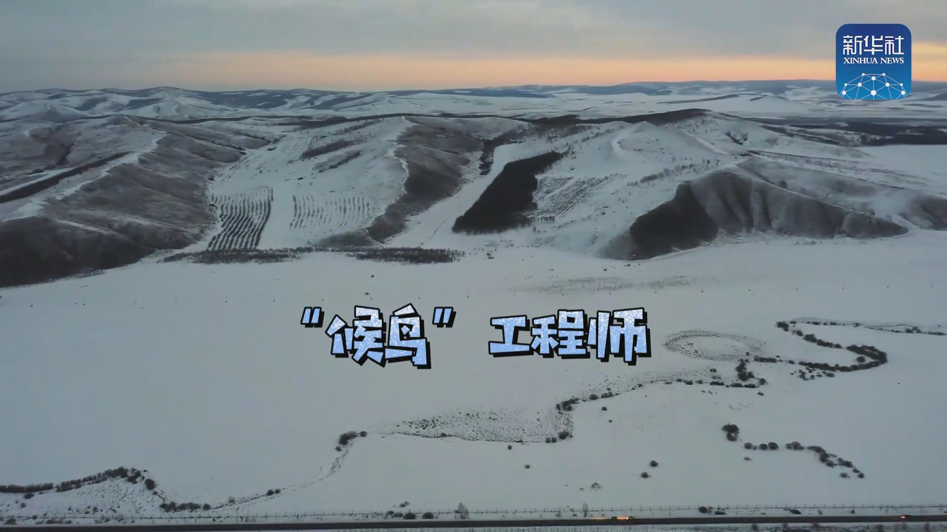 我們在奔跑丨一路向北！他是逆行的&ldquo;候鳥&rdquo;