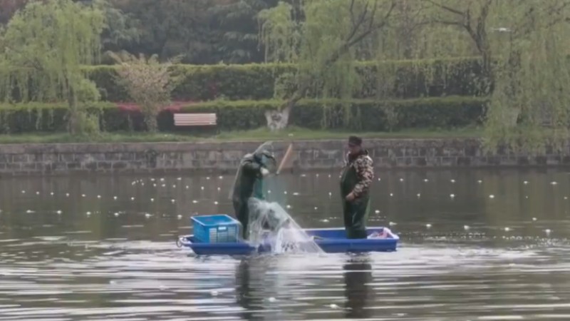 別人家的學(xué)校！安師大請(qǐng)師生吃一萬斤魚