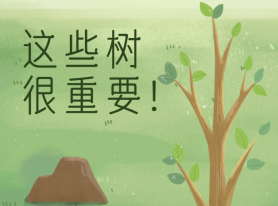 這些樹很重要！