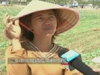 《焦點訪談》&ldquo;海燕&rdquo;過后