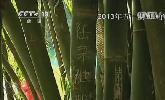 &ldquo;五一&rdquo;去哪？：快樂出行 文明旅游