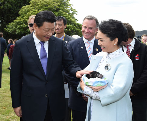 11月18日，國(guó)家主席習(xí)近平在澳大利亞塔斯馬尼亞州與朗塞斯頓市斯科奇－歐克伯恩小學(xué)的小學(xué)生共同植樹(shù)。這是習(xí)近平和夫人彭麗媛植樹(shù)后撫摸袋獾。新華社記者 馬占成 攝