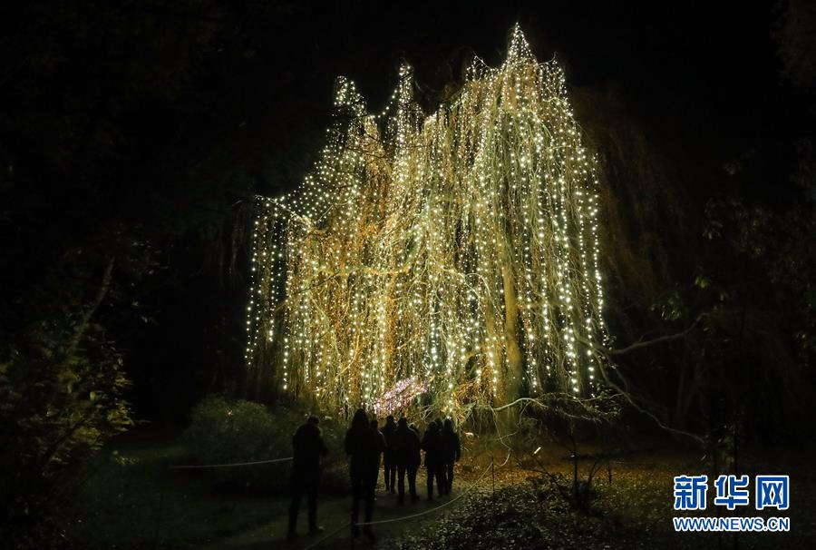 （國(guó)際）（1）&ldquo;柏林圣誕花園&rdquo;燈光秀開幕