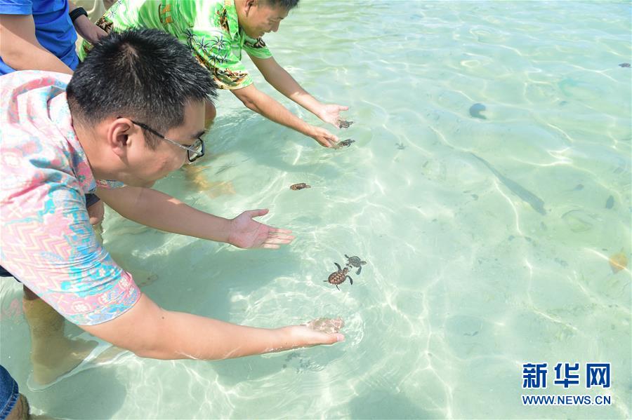 （國際&middot;海外中國人追夢故事）（1）李嘉文：我在印尼當&ldquo;島主&rdquo;