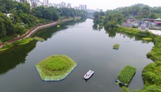 &ldquo;生態(tài)浮島&rdquo;凈水靚城